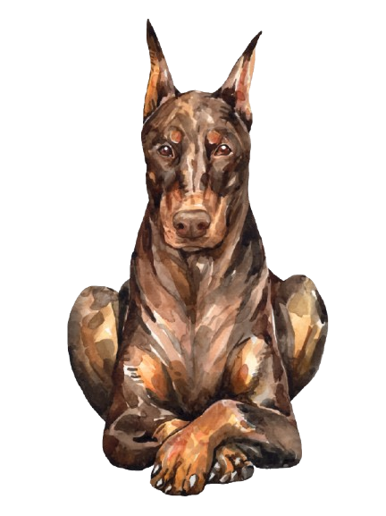 Doberman ilustracija - Armageddon Angels kennel